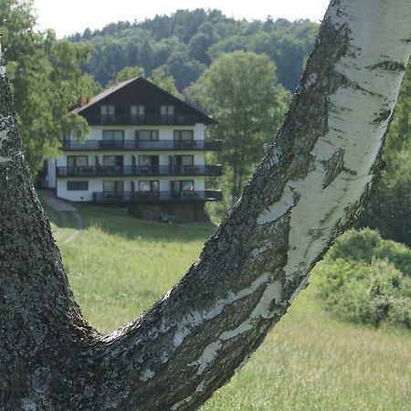 Отель Birkenhof Вальд-Михельбах Экстерьер фото