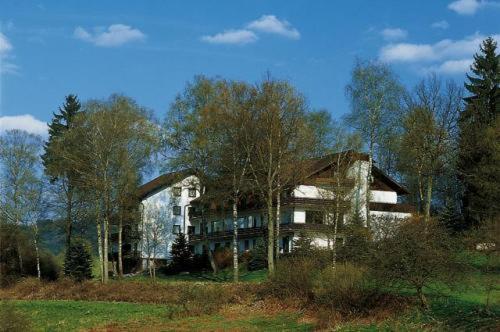 Отель Birkenhof Вальд-Михельбах Экстерьер фото