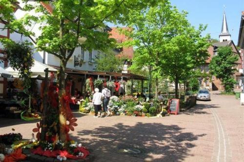 Отель Birkenhof Вальд-Михельбах Экстерьер фото