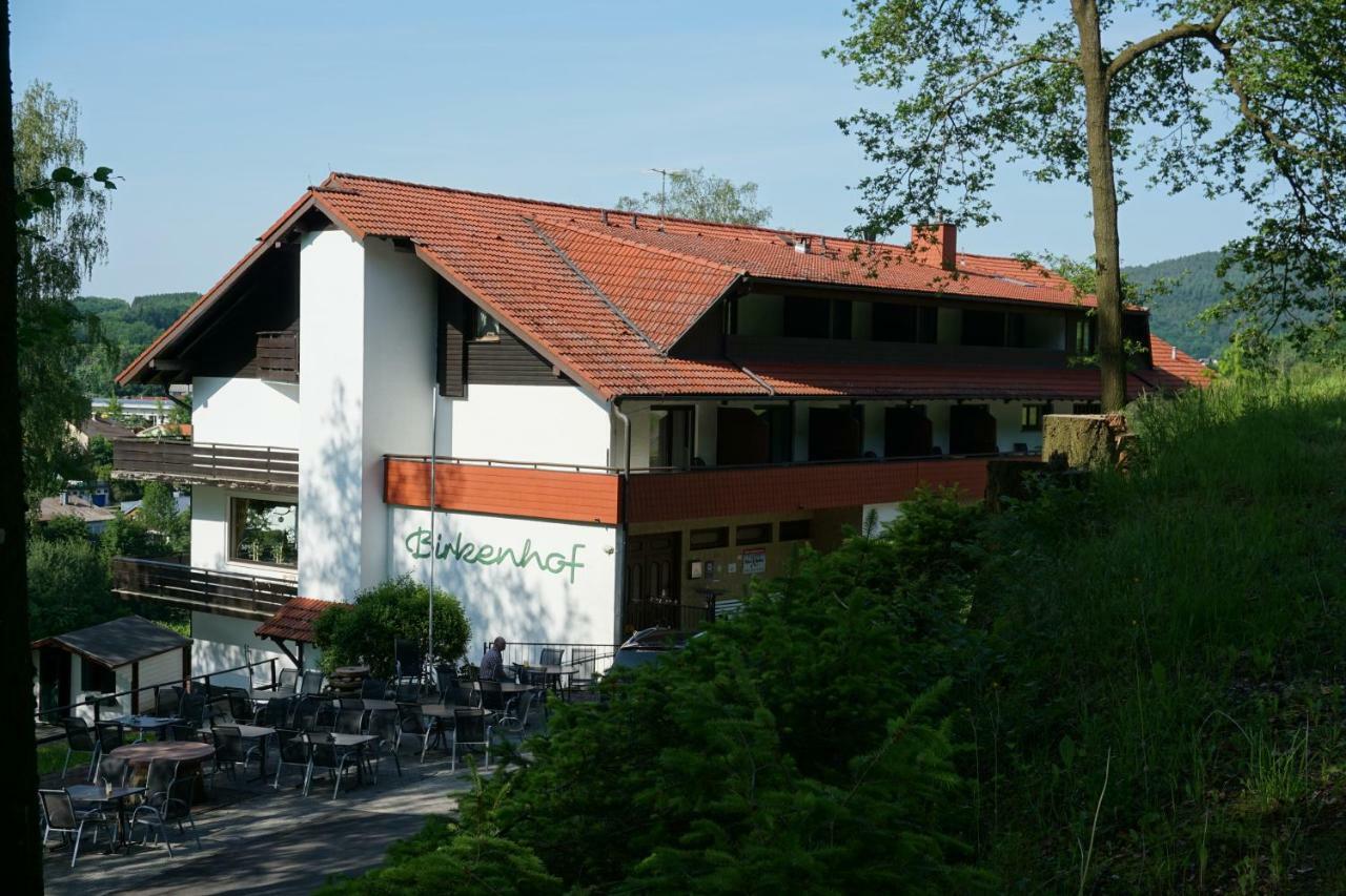 Отель Birkenhof Вальд-Михельбах Экстерьер фото