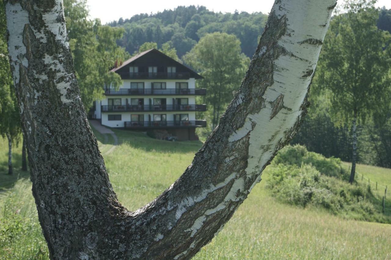Отель Birkenhof Вальд-Михельбах Экстерьер фото