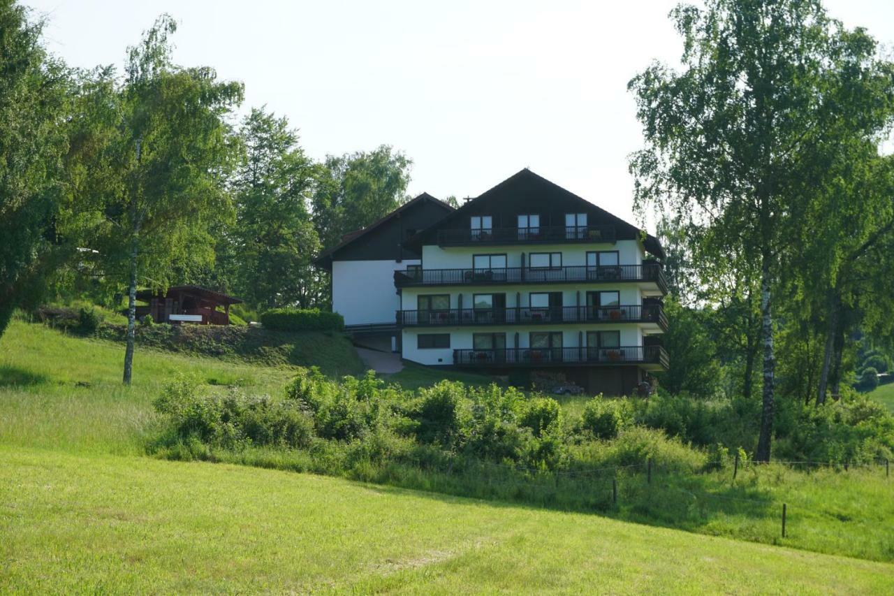 Отель Birkenhof Вальд-Михельбах Экстерьер фото