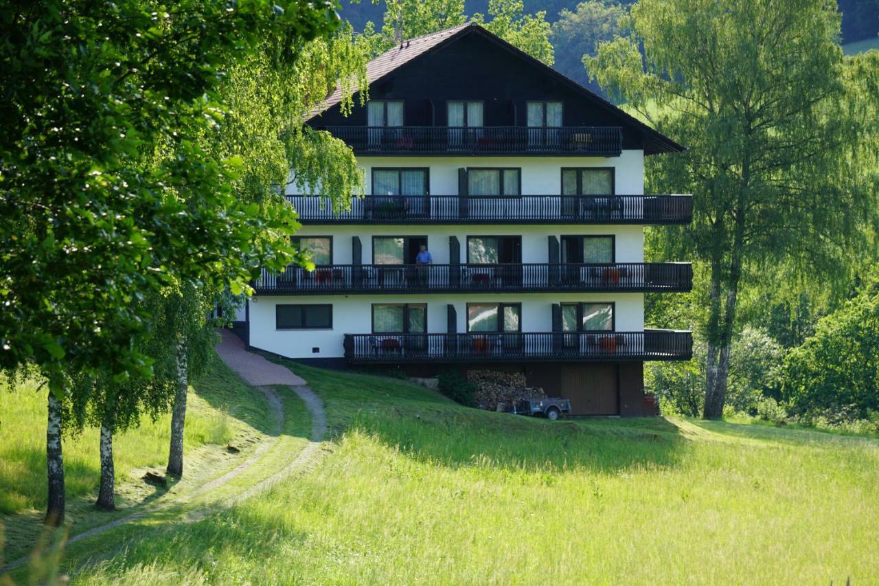 Отель Birkenhof Вальд-Михельбах Экстерьер фото