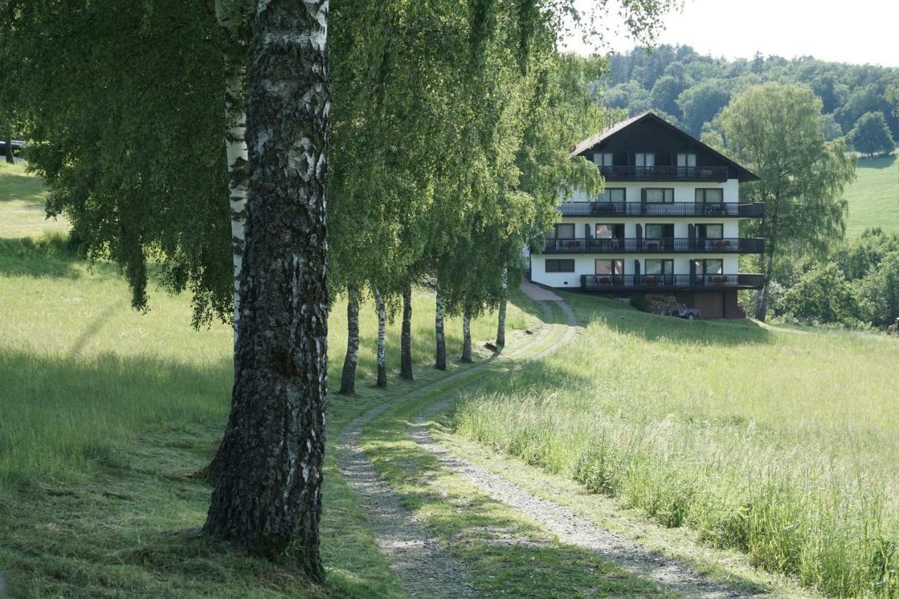 Отель Birkenhof Вальд-Михельбах Экстерьер фото